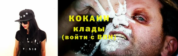 прущие грибы Абаза