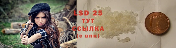 прущие грибы Абаза