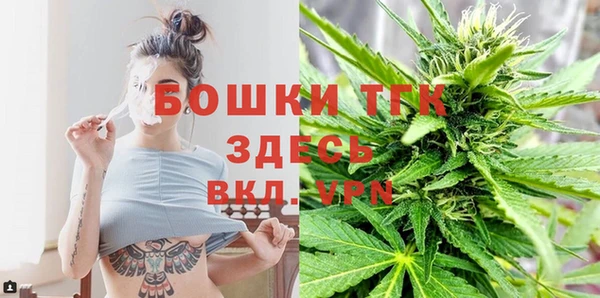 прущие грибы Абаза