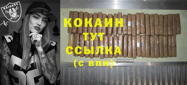 прущие грибы Абаза