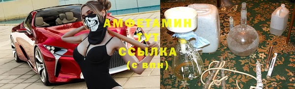 прущие грибы Абаза