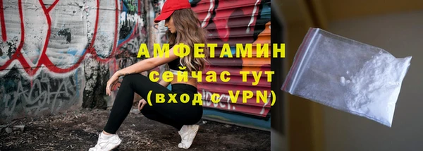 прущие грибы Абаза